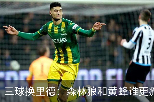 三球换里德：森林狼和黄蜂谁更癫？！