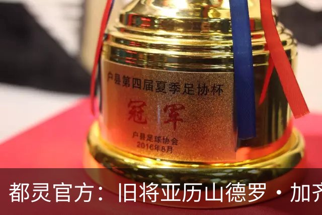 都灵官方：旧将亚历山德罗·加齐将担任一线队领队